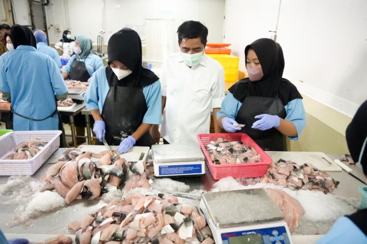 Cold chain storage safeguards fish quality in free meal program