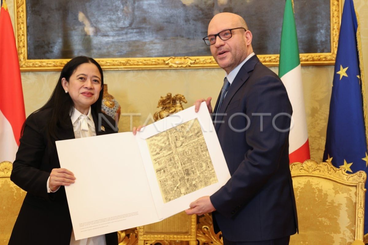 Puan Maharani harap RI-Italia saling melengkapi saat bertemu Parlemen Italia