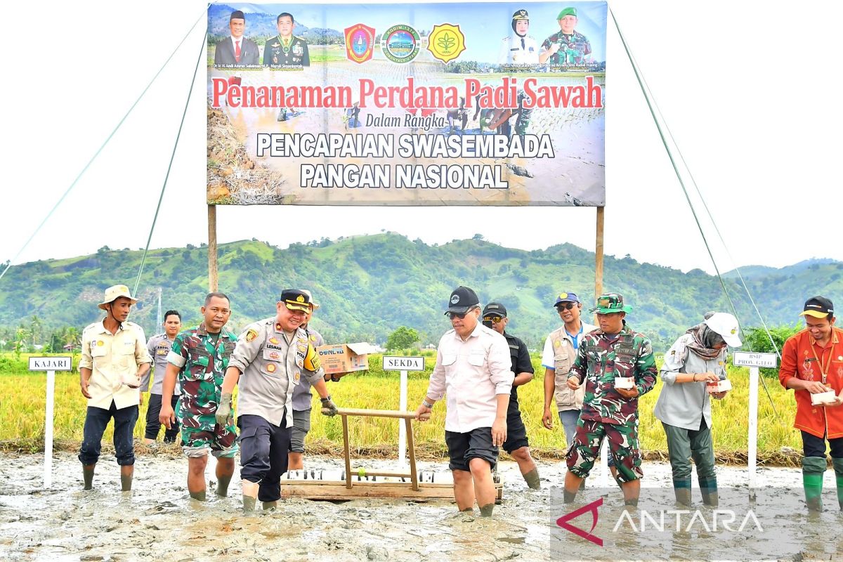 Pemkab Gorontalo Utara targetkan tanam padi sawah seluas 14.430 ha