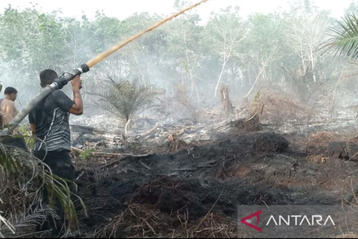 BPBD Aceh Barat kerahkan personel padamkan Karhutla