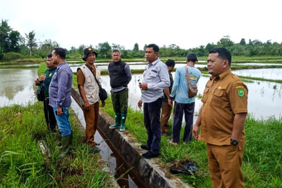 Pemkab Natuna alokasikan Rp900 juta untuk bantuan pupuk