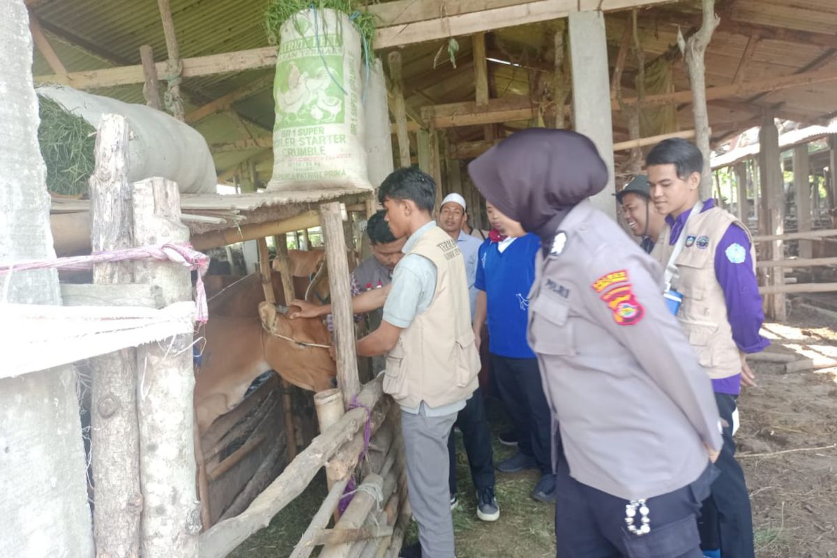 Polisi edukasi peternak sapi guna cegah PMK di Lombok Tengah