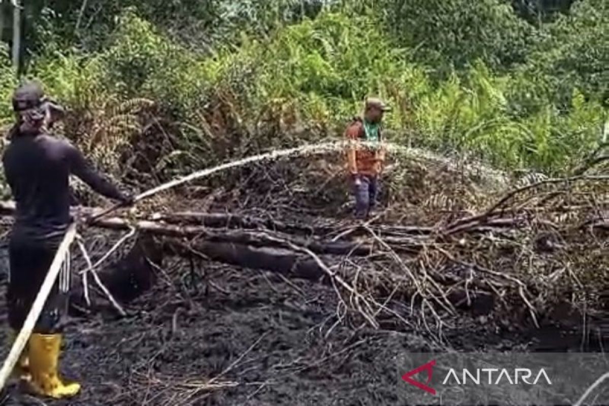 BPBD Aceh Barat berhasil padamkan kebakaran lahan di kebun warga di Arongan Lambalek