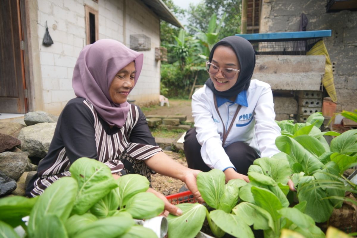 8 jenis sayuran yang wajib konsumsi tiap hari agar tubuh tetap bugar