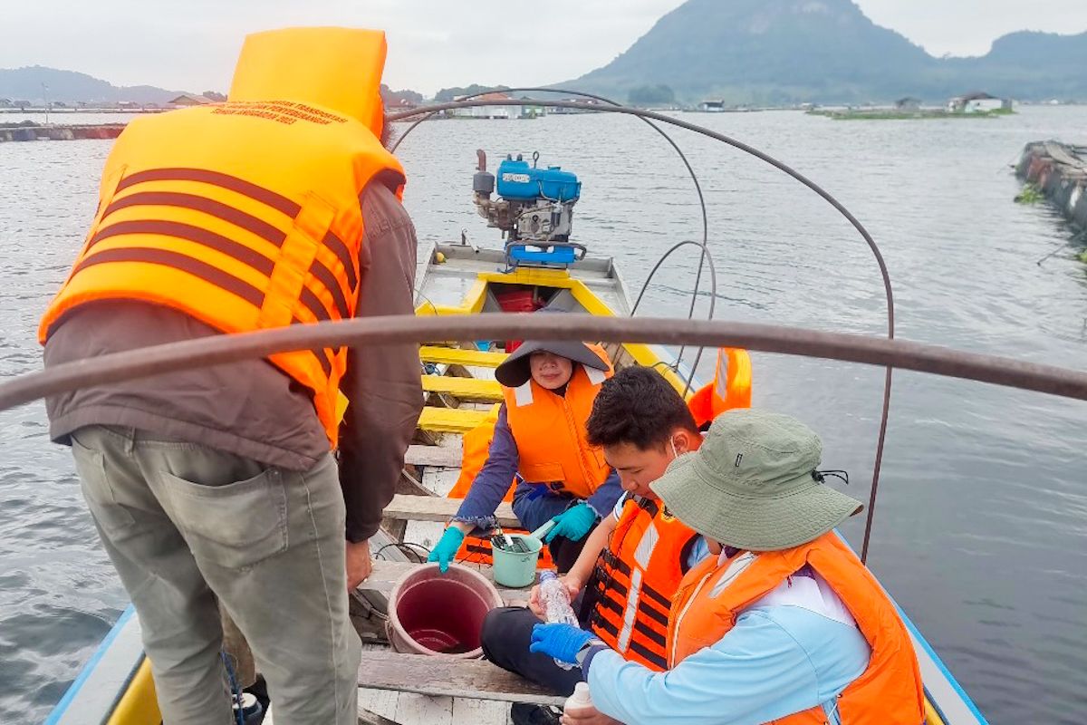 KKP turunkan tim selidiki kematian 100 ton ikan massal Waduk Jatiluhur