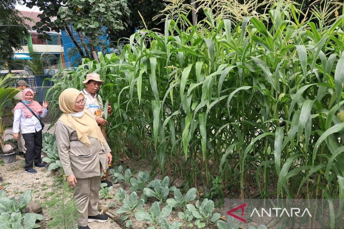 Kepulauan Seribu dampingi petani untuk wujudkan ketahanan pangan