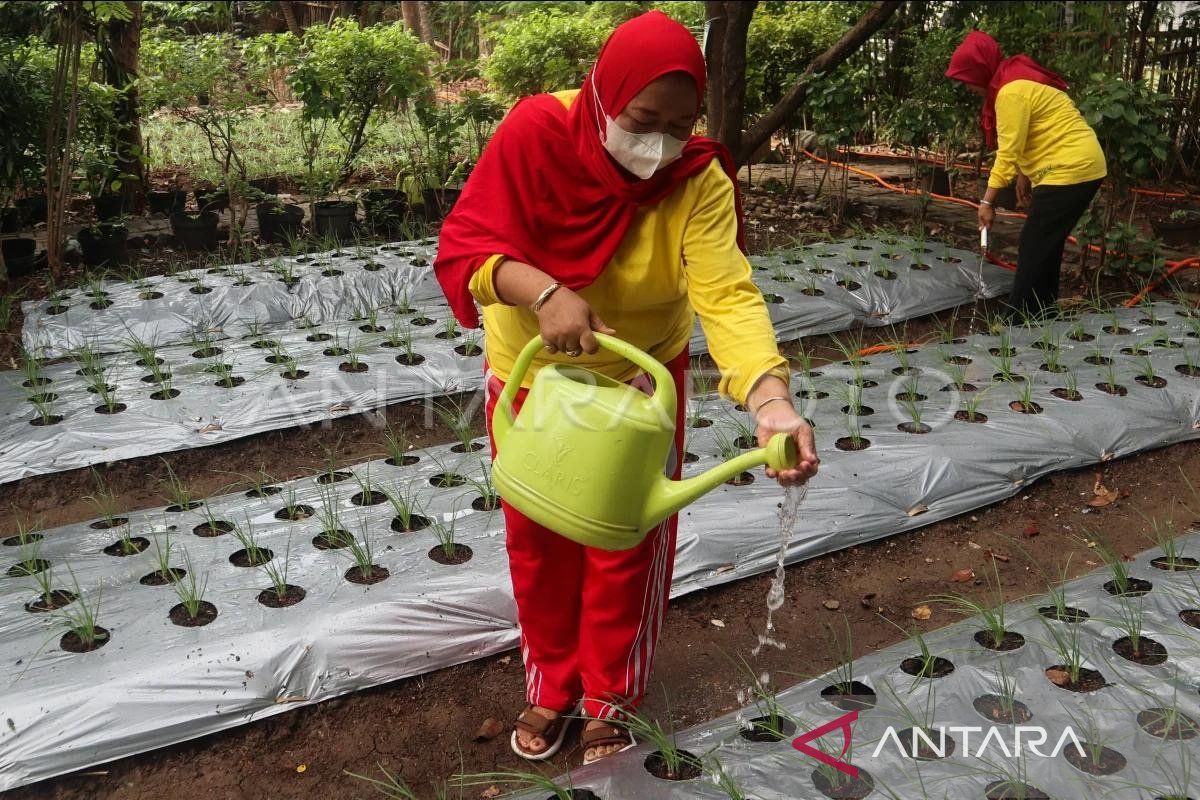 DLHK: 402 gampong di Aceh telah terdaftar proklim