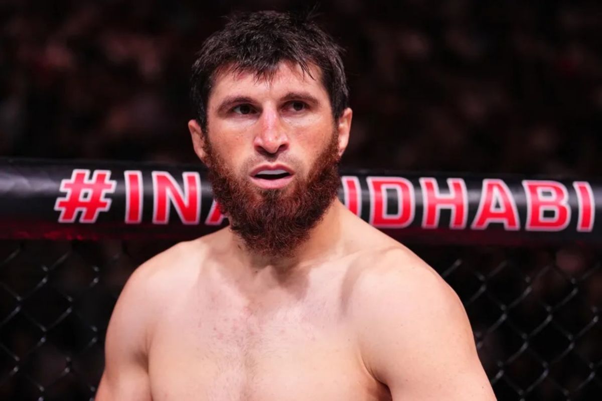 Magomedov Ankalaev bertekad akhiri kejayaan Alex Pereira pada UFC 313