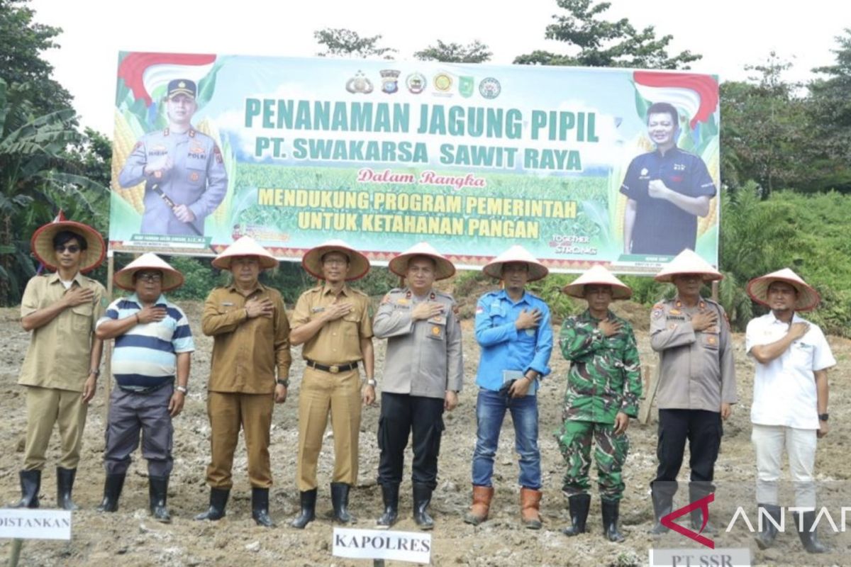 PT SSR sediakan lahan bantu program swasembada pangan