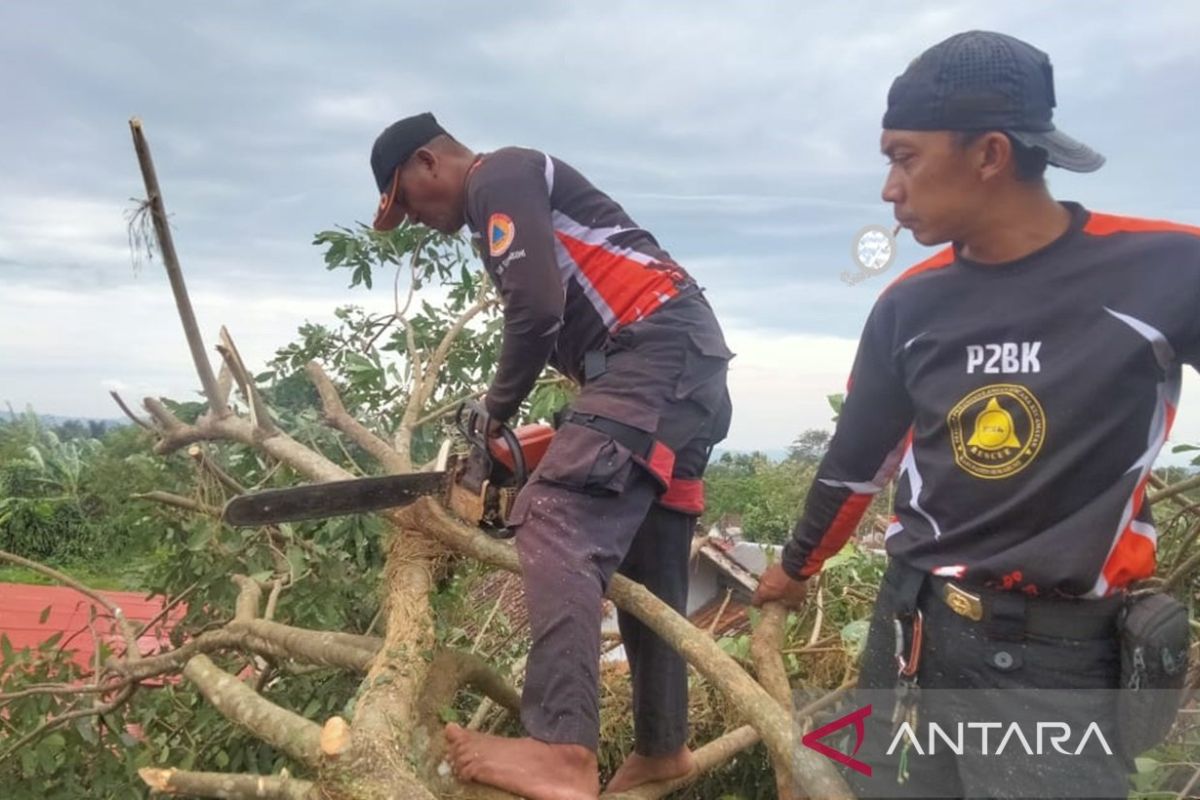 BPBD: 70 kejadian bencana landa Sukabumi sepanjang Januari 2025