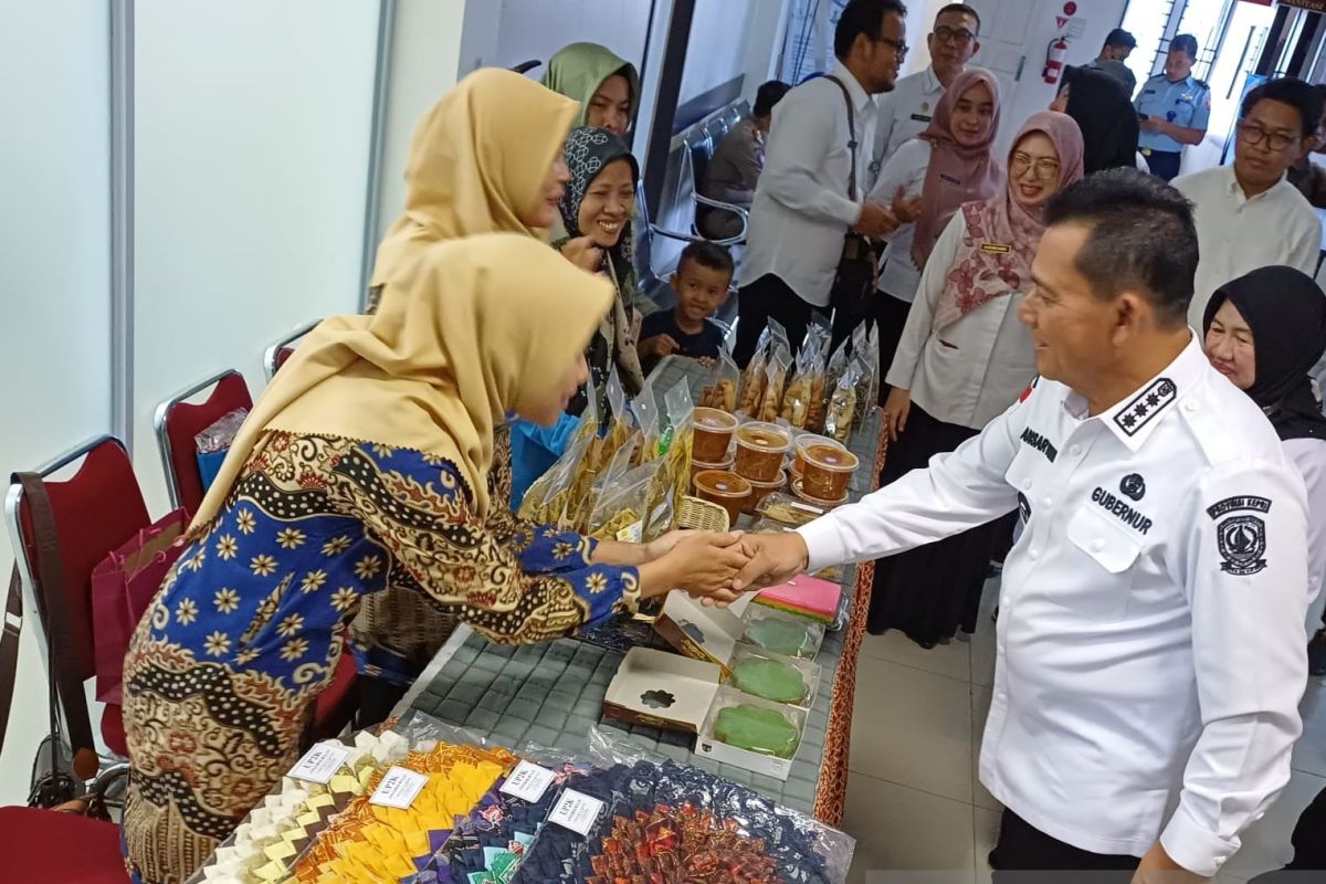 Kepri terima DAK Rp13,3 miliar untuk sektor UMKM pada 2025