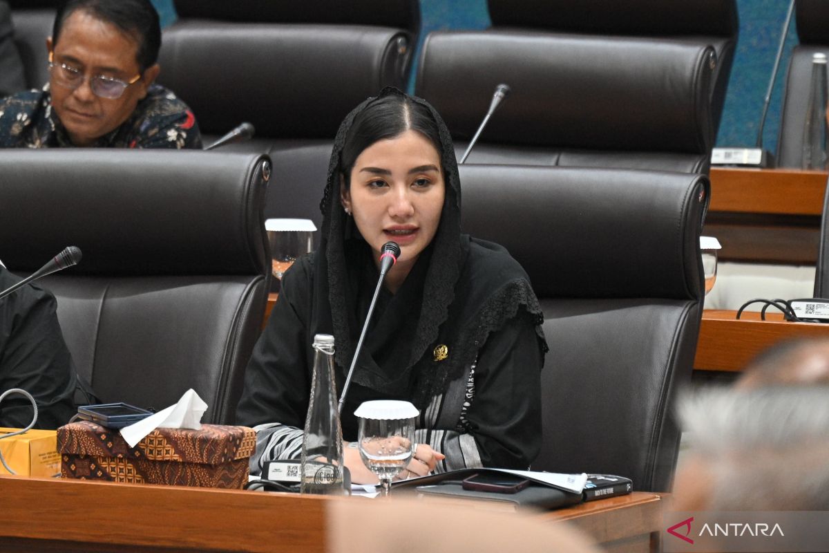 Anggota DPR minta perjelas mekanisme pembiayaan UMKM di program MBG