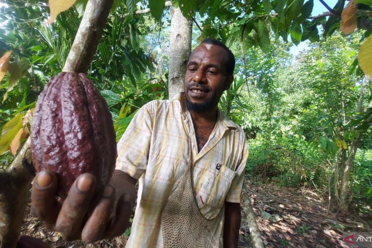 Menjelajah kekayaan kebun Kampung Imsar