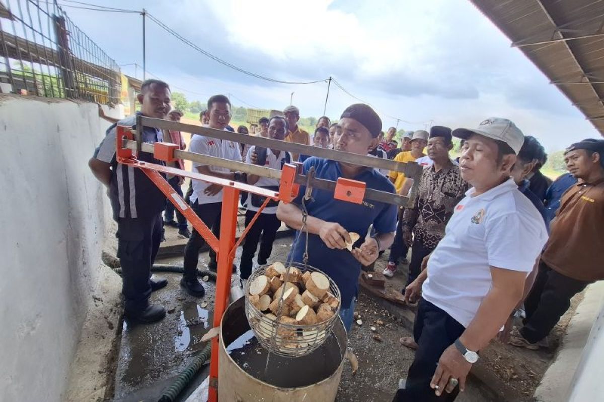 DPD RI: Perlu digitalisasi alat ukur kadar pati dan timbangan ubi kayu