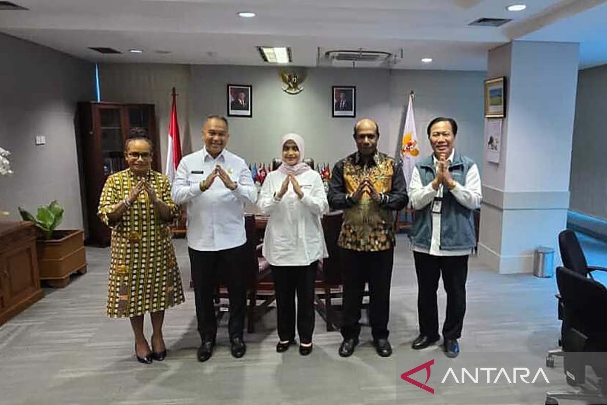 Kementerian PANRB beri kuota 4.685 orang untuk CASN Papua Pegunungan