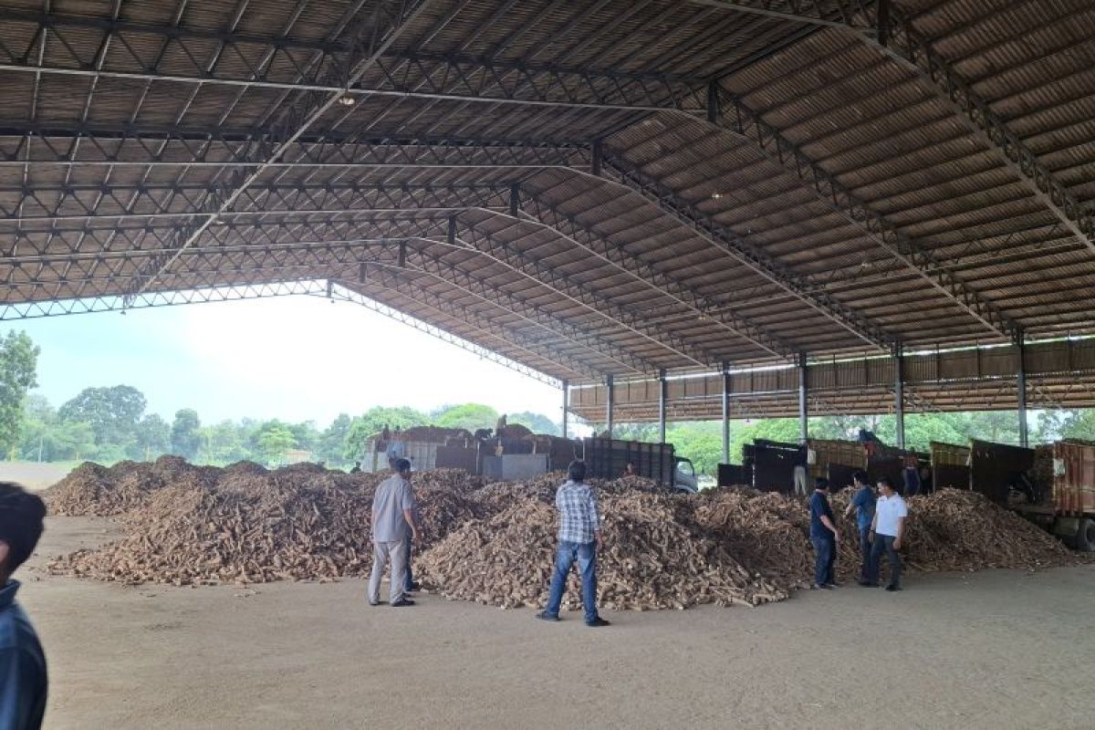 Mutu ubi kayu Lampung diingatkan agar terus dijaga