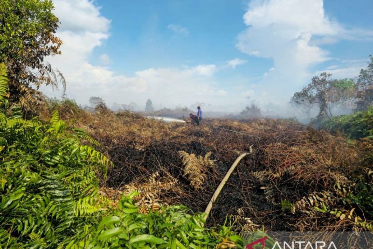 BMKG: Cuaca panas di Aceh masih bisa picu Karhutla