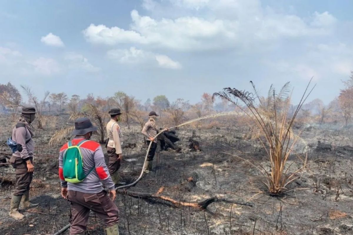 Pendinginan Karhutla di Teluk Beringin Sudah Selesai