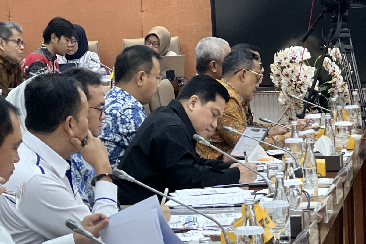 Menteri BUMN usul efisiensi anggaran tak sampai di bawah Rp215 miliar