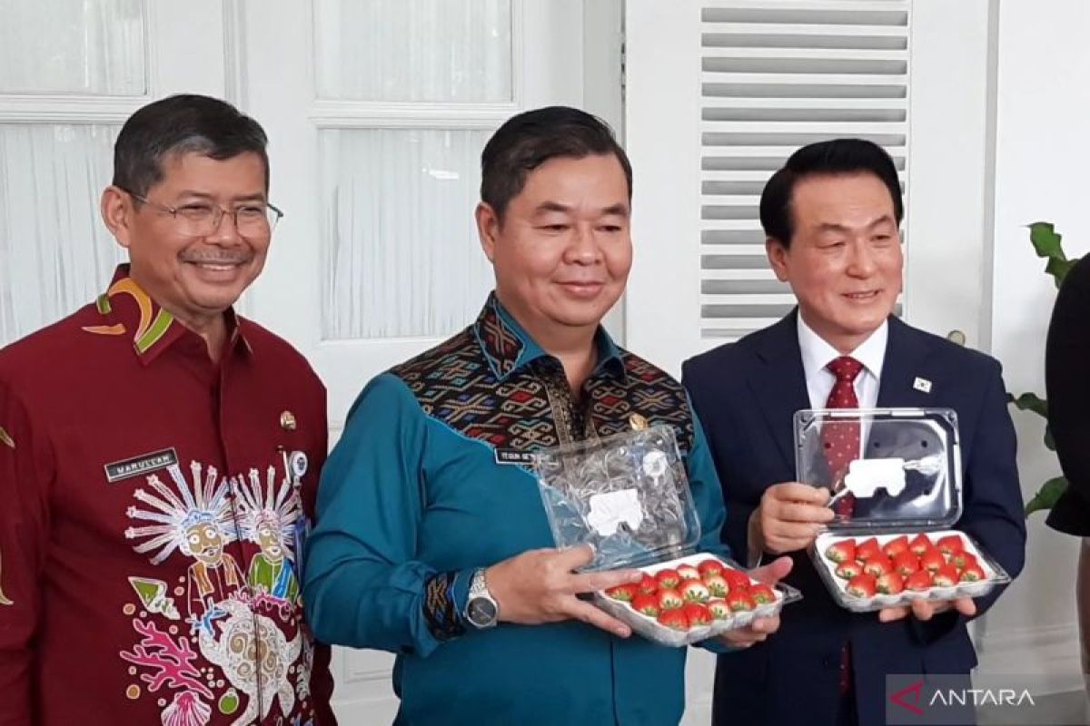 Jakarta, S Korea's Nonsan city organize strawberry festival