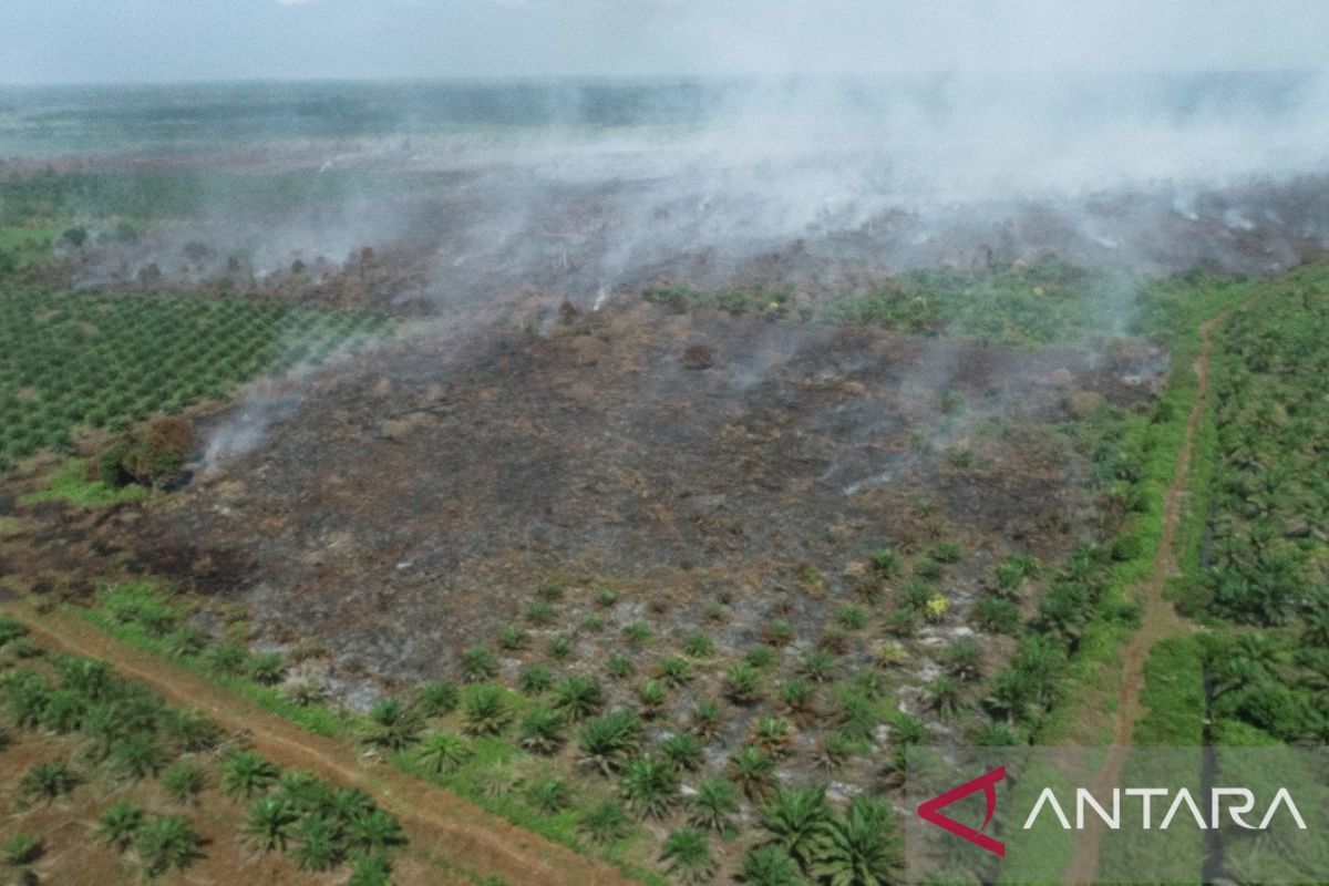 Luas lahan terbakar di Aceh Barat sudah mencapai 7,5 Ha, pemadaman masih dilakukan