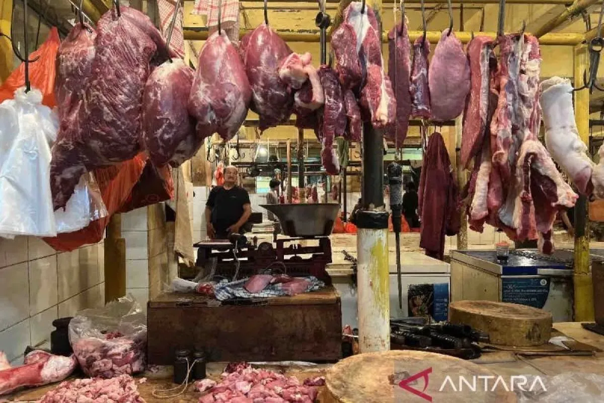 DKI prediksi saat Ramadhan permintaan daging sapi naik paling tinggi