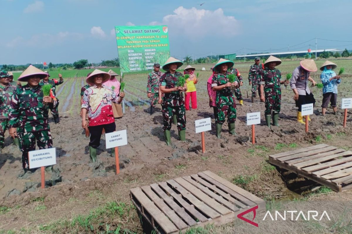 Aster Kasdam Jaya kunjungi lahan pertanian Korem 051/Wijayakarta