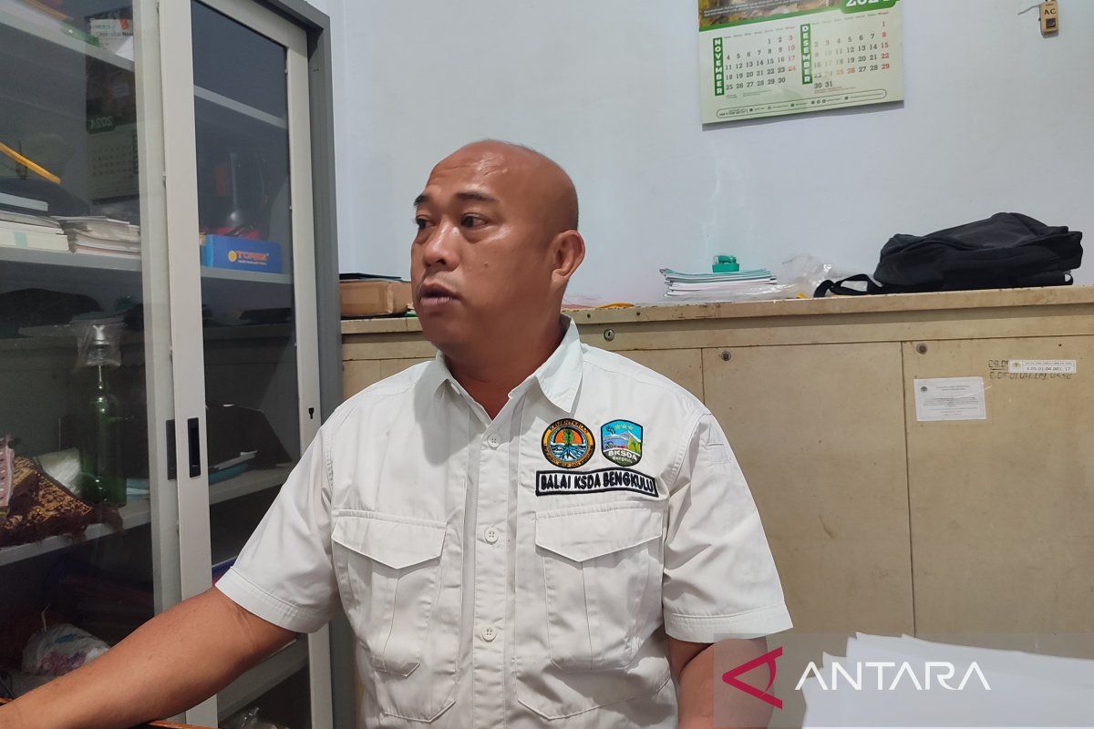 BKSDA Bengkulu-Lampung pasang perangkap guna evakuasi beruang madu