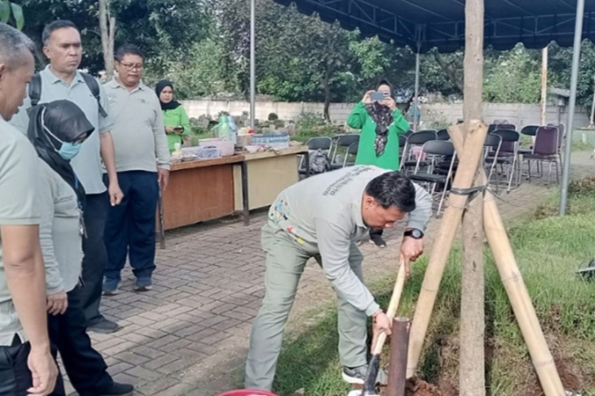 Sudin Tamhut tanami lahan kosong TPU Kembangan Utara dengan tabebuya