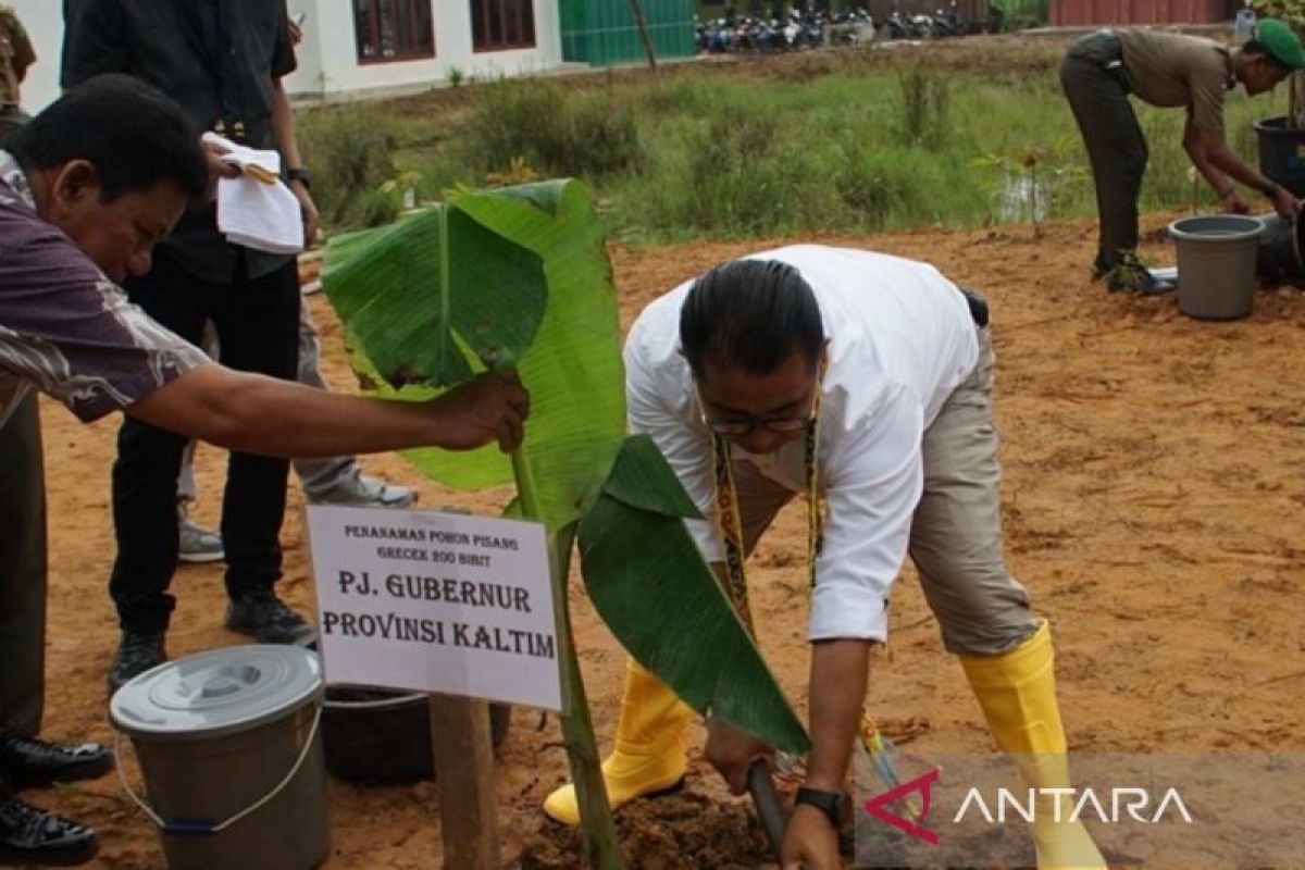 Pemprov Kaltim optimalkan  program ketahanan pangan daerah
