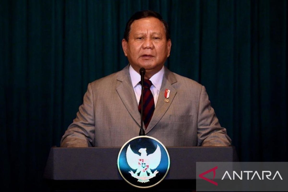 Free meals program significant investment for RI's future: Prabowo