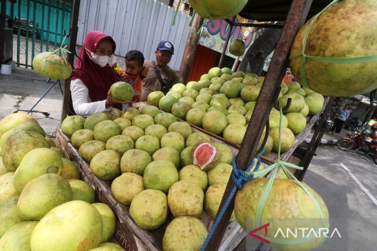 Buah yang perlu dihindari ketika sedang mengonsumsi obat-obatan