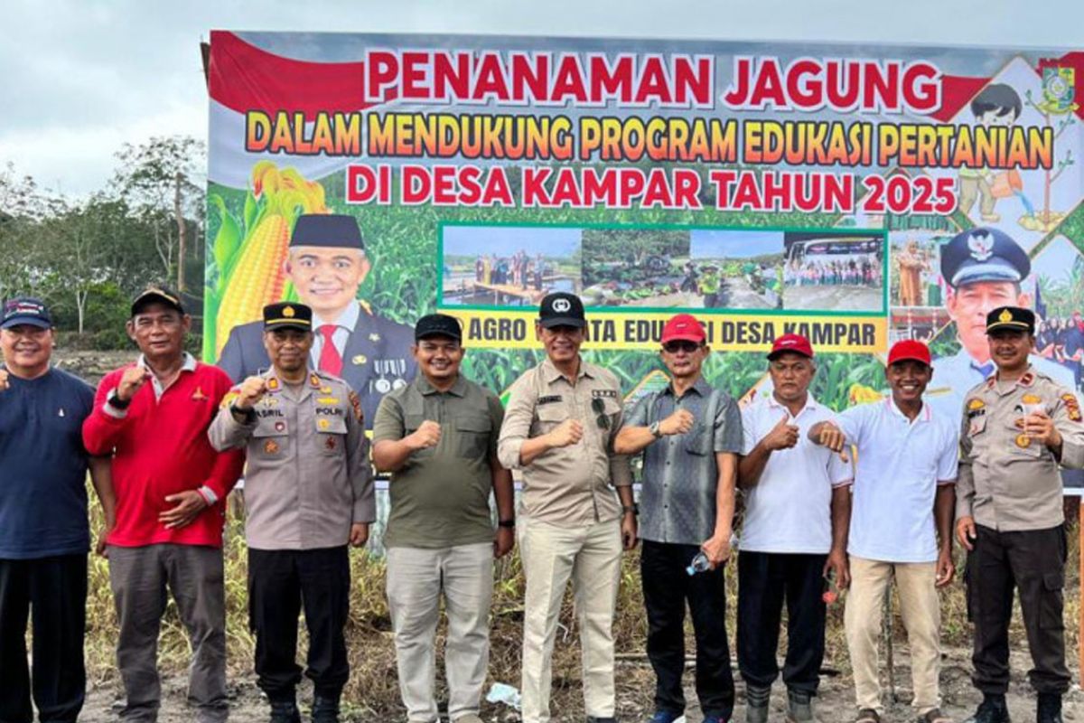 Pemkab Kampar manfaatkan pekarangan untuk program ketahanan pangan