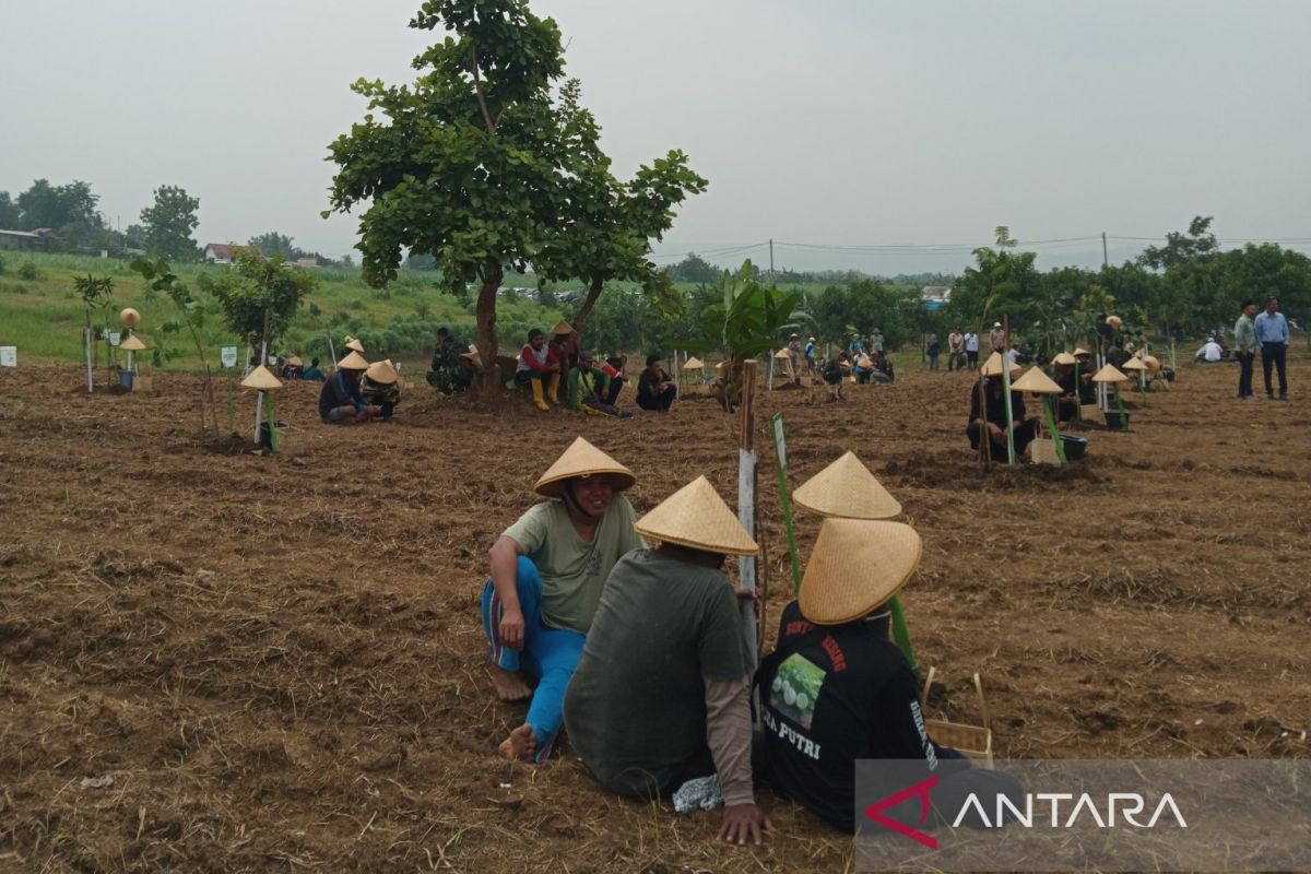 Tumbuh bersama lingkungan: Solusi dari pertanian Indonesia