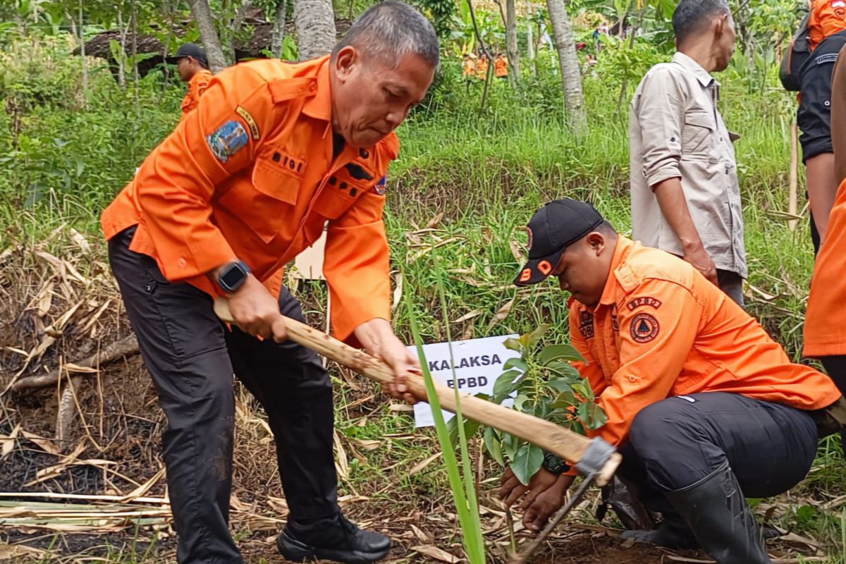 BPBD Jatim tanam ribuan pohon di lokasi rawan bencana