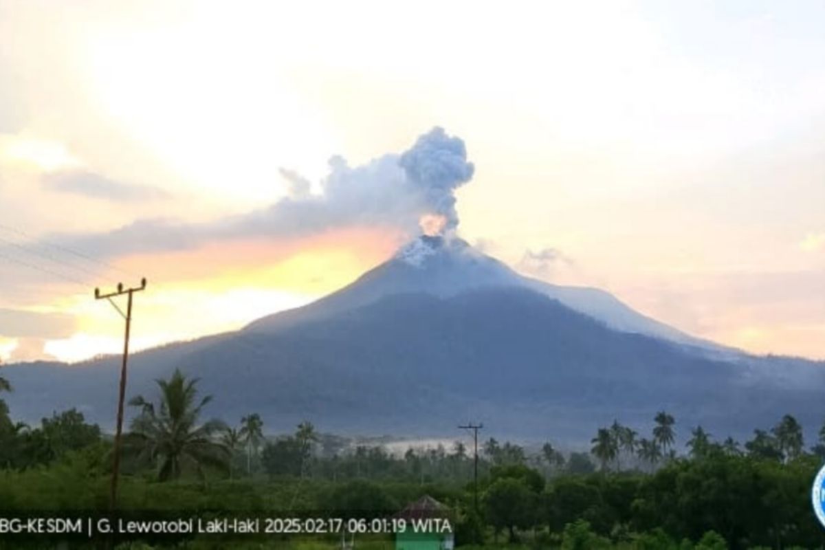 Gunung Lewotobi Laki-laki melontarkan abu setinggi 900 meter