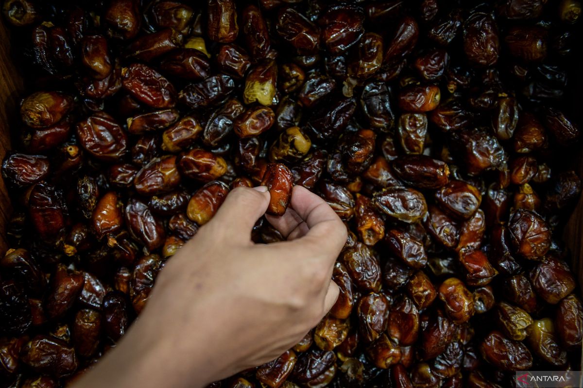 Kurma, nilai spiritual dan potensi ekonomi