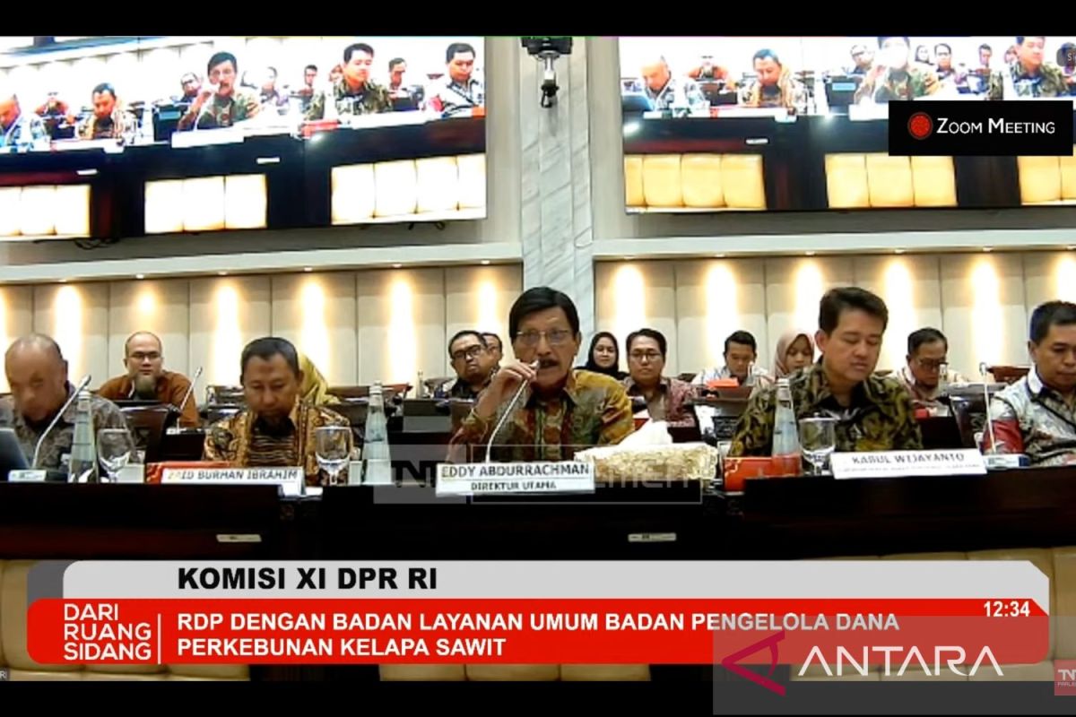 Anggaran BPDP dipangkas sebesar 33,81 persen imbas efisiensi