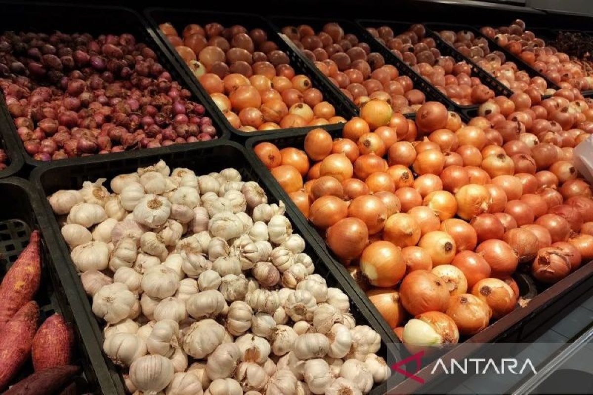 Jenis makanan yang bantu kesehatan usus saat mengonsumsi antibiotik