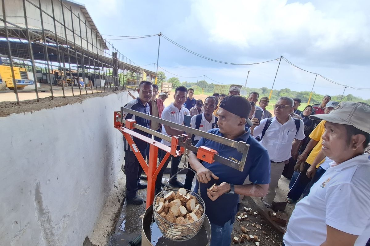Pemprov Lampung minta kabupaten dan kota tera ulang timbangan ubi kayu