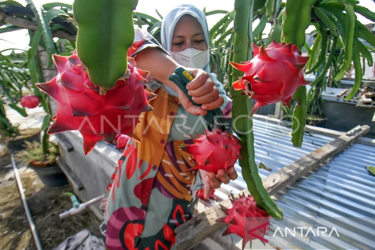 DPMG: Alokasi dana desa Aceh Rp4,7 triliun tidak terkena efisiensi