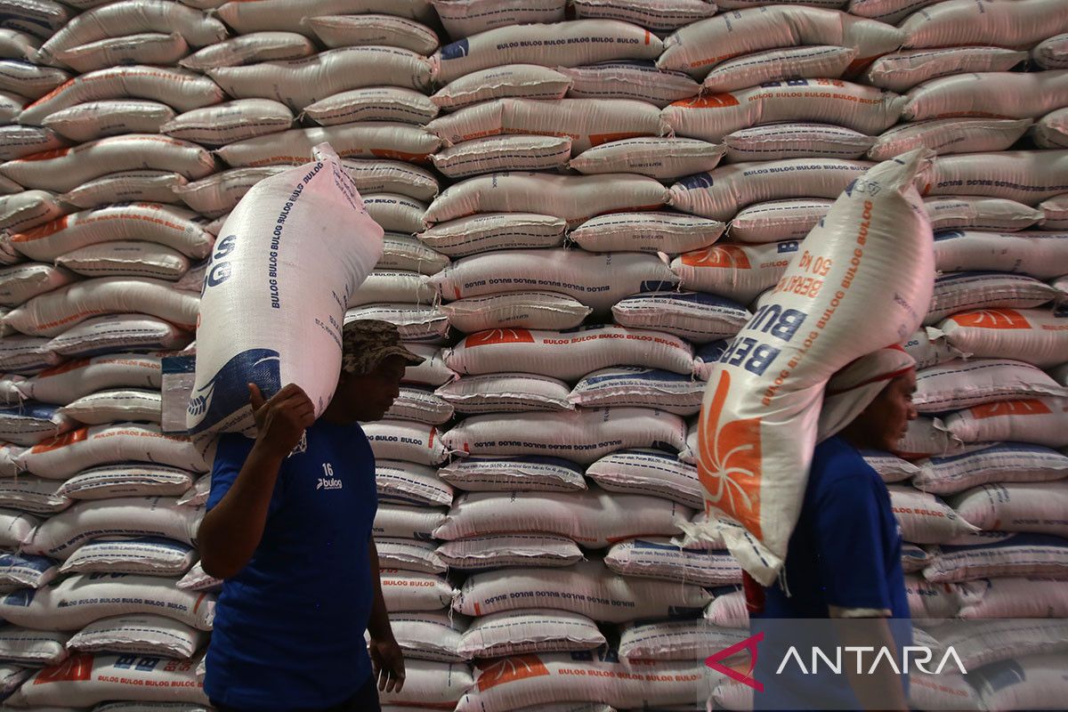 FOTO - Realisasi serapan beras petani di Aceh