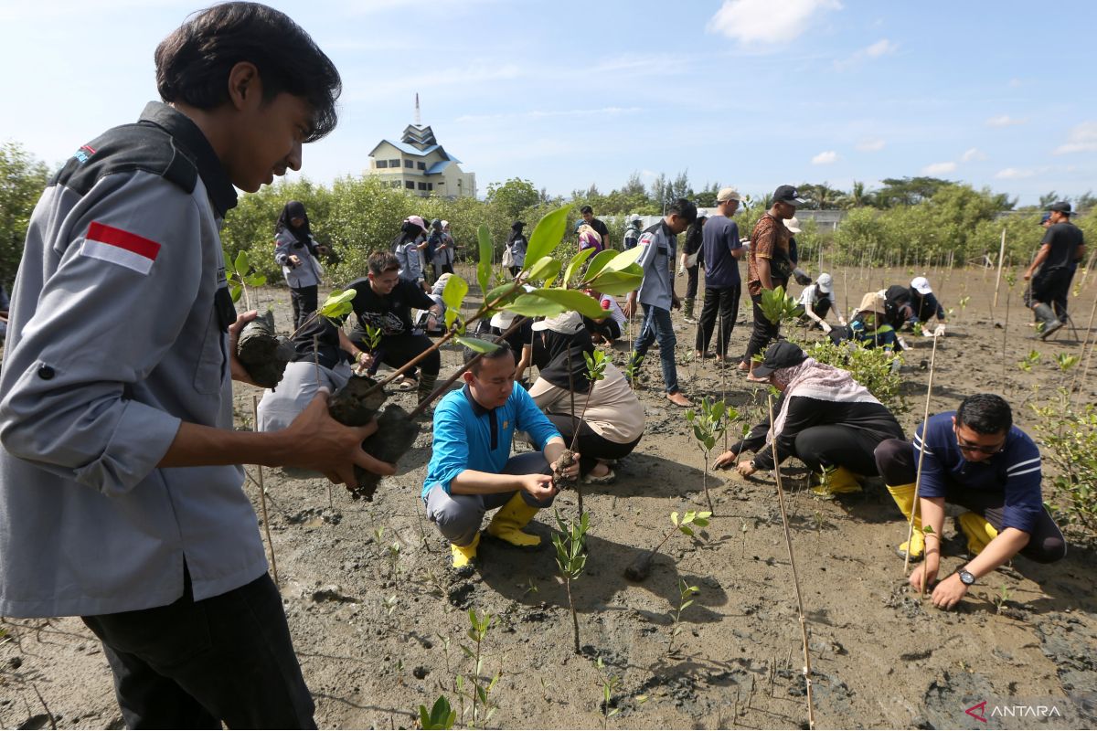Beyond quick fixes: Indonesia’s race to restore forests and nature