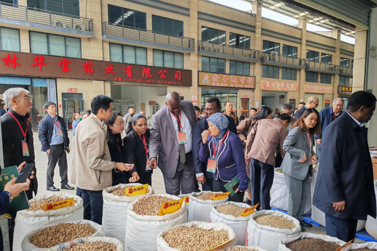 Perjalanan Diplomat Indonesia di Yulin China bidik peluang kerja sama