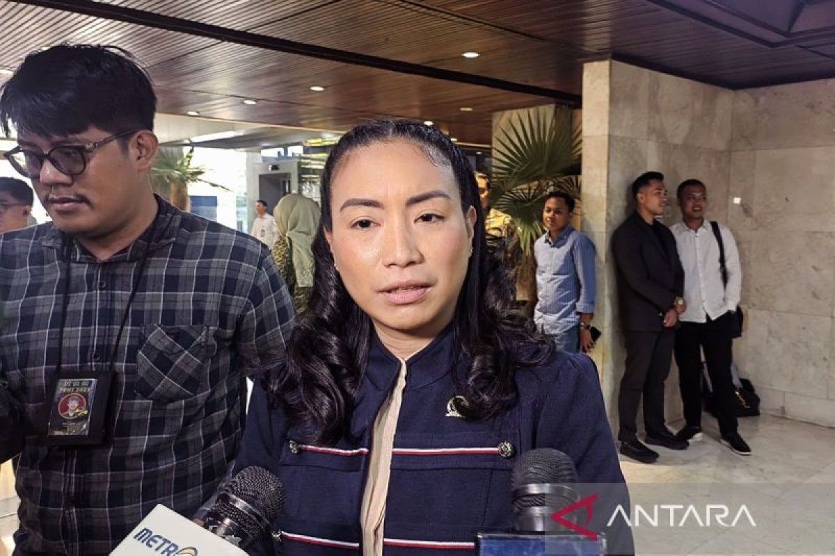 Pimpinan Komisi VII nilai #KaburAjaDulu perlu diubah #MerantauAjaDulu