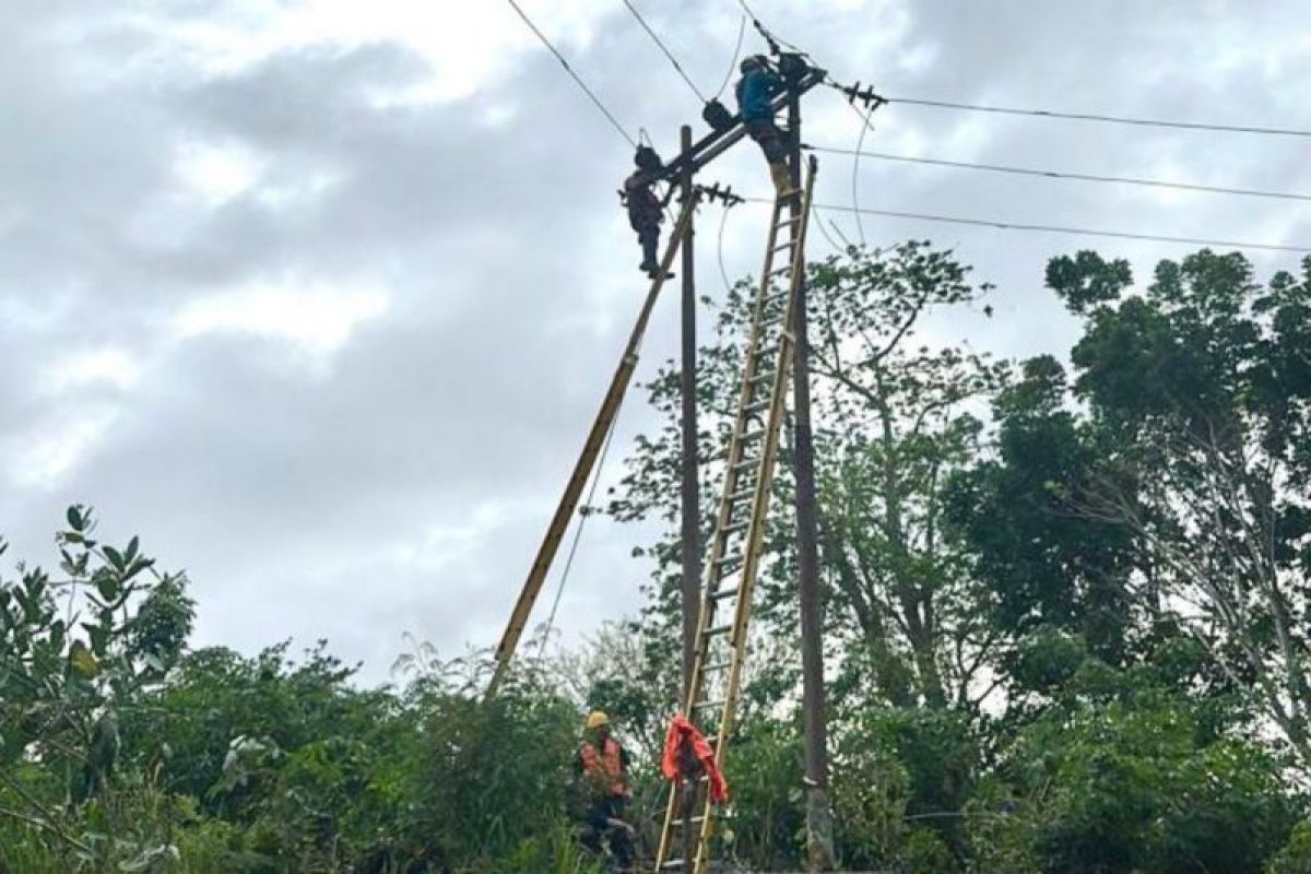 PLN NTT jamin keandalan pasokan listrik untuk RSUD Borong