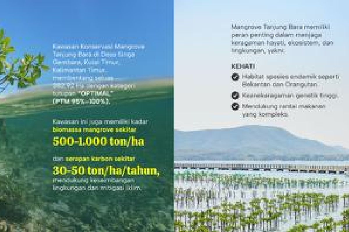 KPC jaga keanekaragaman hayati di kawasan mangrove Tanjung Bara