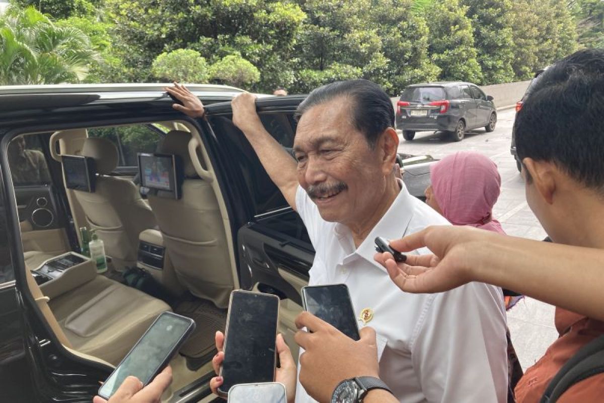 Luhut yakin dampak efisiensi tak seburuk yang dikhawatirkan publik