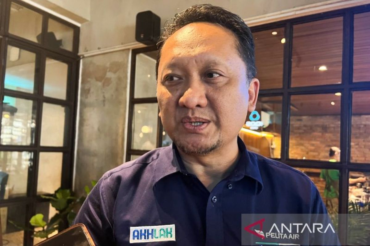 Pelita Air upayakan layani rute internasional Singapura pada Maret