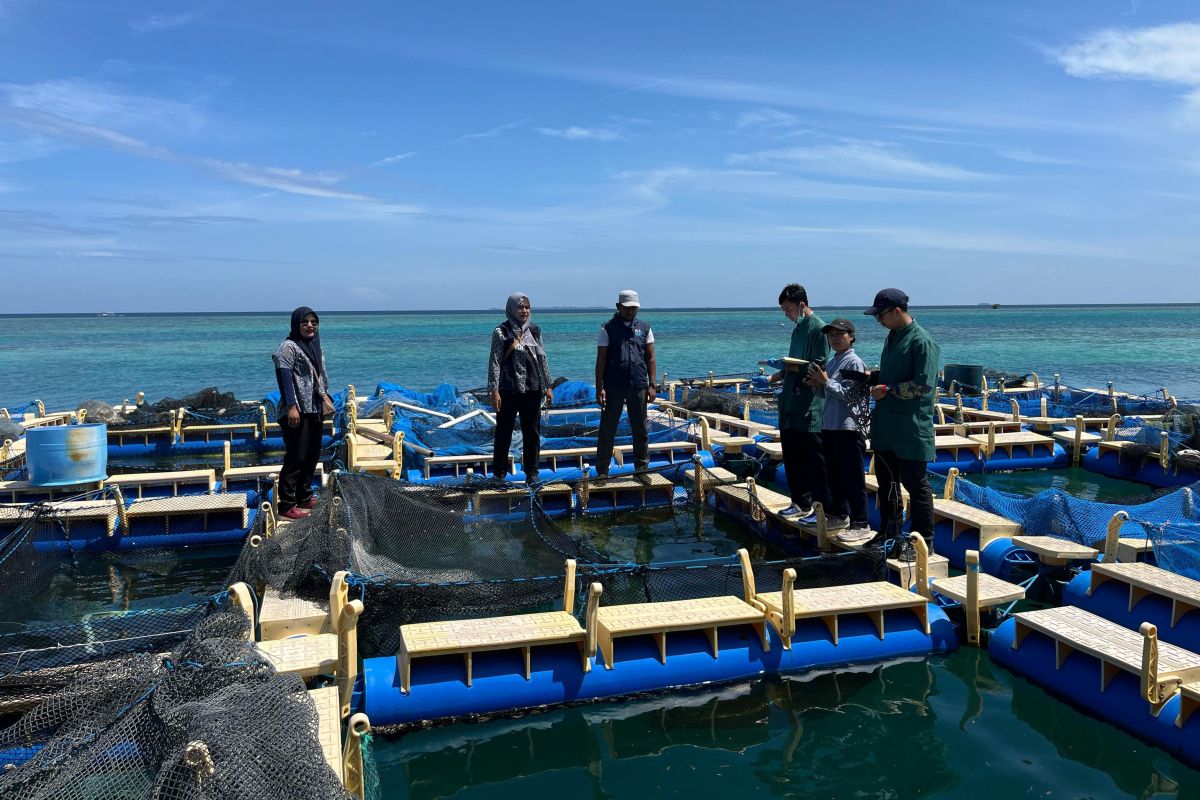 Kepulauan Seribu antisipasi penyebaran hama budidaya ikan